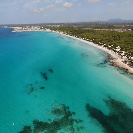 Near The Casa Bonita In Majorca Holiday home Colonia de Sant Jordi